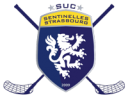 Logo strasbourg